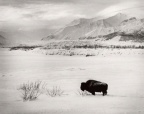 阿拉斯加边境 Alaska the Last  Frontier