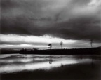 汀沙云树晚苍苍  Clouds, Trees