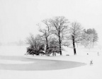 清凉澹澹 Winter Silence