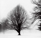 北安多弗 North Andover (9031 visits) 美国麻省北安多弗
North Andover, Massachusetts, USA
银盐纸基
Gelatin Silver Print 35.... 北安多弗 North Andover