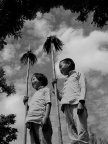 站岗放哨的儿童团员，冀中 Children Brigade members stand guard, Central Hebei