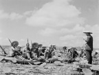 雁翎队在荷花淀开会，冀中 The Yanlingdui Detachment assembles at Lotus Lake, Central Hebei